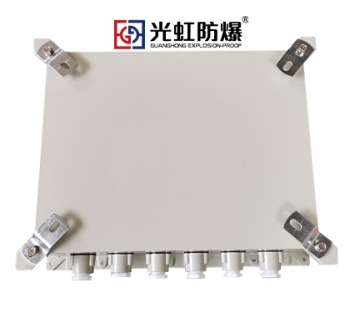 500X600X200粉塵防爆接線箱 防爆監控模塊箱