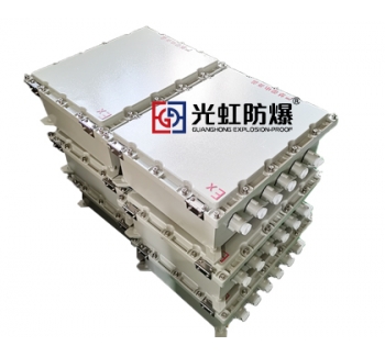 500X600X200粉塵防爆接線箱 防爆監控模塊箱