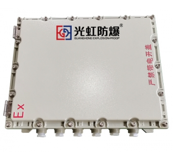 500X600X200粉塵防爆接線箱 防爆監控模塊箱