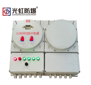 防爆應急照明集中電源箱Exde IICT4/T6