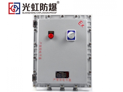 500X600X200粉塵防爆接線箱 防爆監控模塊箱