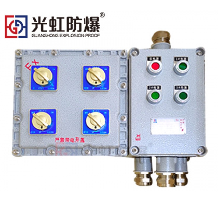 粉塵防爆配電箱 現場防爆動力配電箱