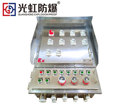 <b>304不銹鋼防爆配電箱帶防雨罩</b>