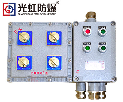 粉塵防爆配電箱 現場防爆動力配電箱
