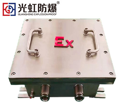 304不銹鋼防爆稱重儀控制箱