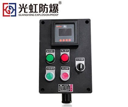 BZC8050-A2D2K1B1G壁掛式安裝防爆防腐操作柱